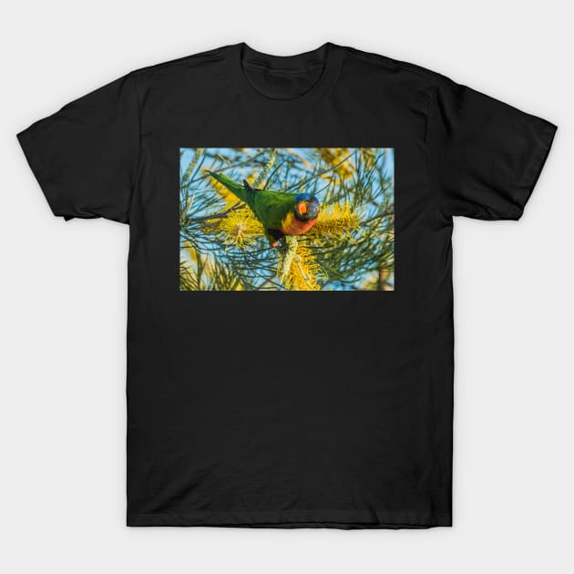 Feeding Time T-Shirt by ken47